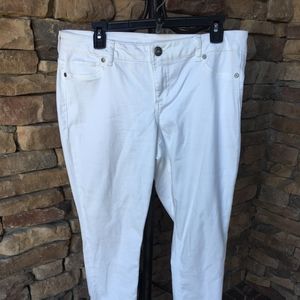 Maurice White Jegging Plants